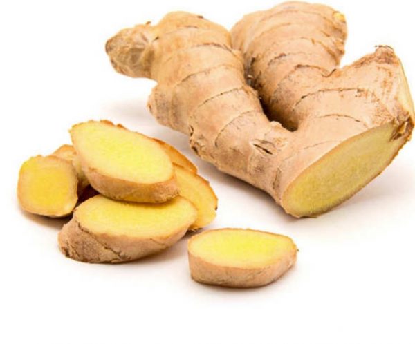 CURCUMA BIO TOGO